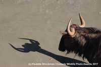 Les standards impossibles  de la société