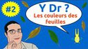La couleur des feuilles selon les saisons