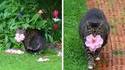 kan ta vocation c'est fleuriste et pas chasseur...
