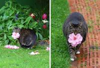 kan ta vocation c'est fleuriste et pas chasseur...