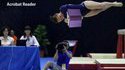Acrobat Reader