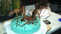2 girls 1 cake