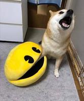 waka waka waka... 