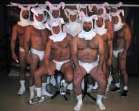 Lapins de Pâques 