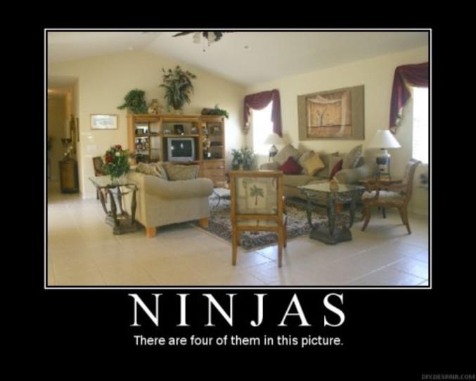 Il y a quatre ninjas dans cette photo, trouvez les.