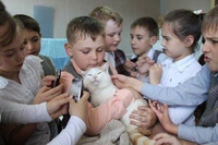 En adoration