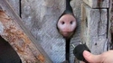 Humide cette prise !