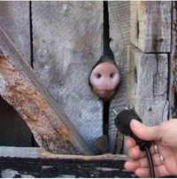 Humide cette prise !