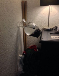 Un poisson à la limite de tomber