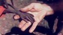 Famine