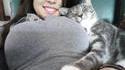 Coussin pour chat