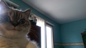 :3