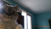 :3