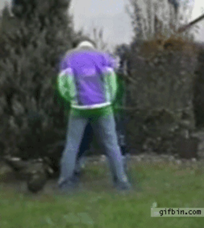 Que mangent les canards ?