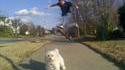 Sortir le chien