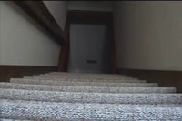 Petit chien et escalier