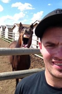 Horse bombing