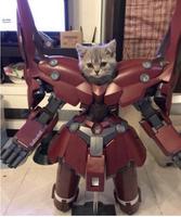 Il a terminé son armure 