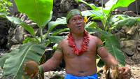 Pour avoir des noix d'coco, des noix d'coco, 