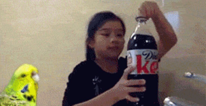 Petite histoire en GIF