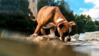 7 trucs et astuces pour photographier avec votre smartphone