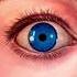 Un oeil