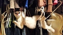 Chat coince 2