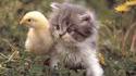 Hot chick with nice pussy