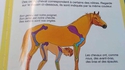 Un livre éducatif