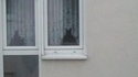 Batman ?