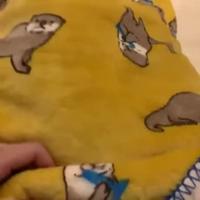 Où est ma petite Louloutre ?