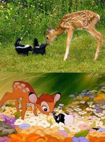 On a retrouvé Bambi