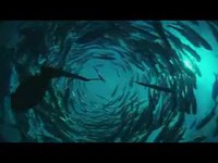 La Terre est magnifique