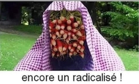 Radicalisé