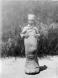 Kan tu veux vivre sur un grand pied