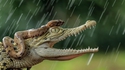 Que pourraient bien dire n°8 : "ces reptiles"