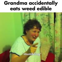 Mamie a mangé des cookies
