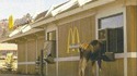 Nouvelle clientèle au McDo