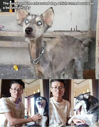 L'un des deux n'a pas eu assez à manger ...