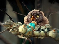 La famille, c'est chouette.
