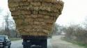 Transport difficile