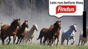 Let's run before they Findus