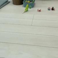 quel contrôle de balle !