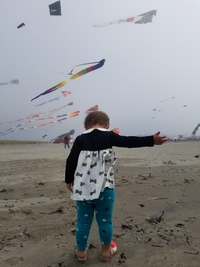 Allez mes guerriers, envahissez, détruisez !