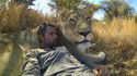 Les rois des Zanimaux vus de très près