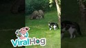 Hibou VS FDP