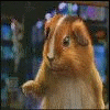 Un hamster plutôt sportif.