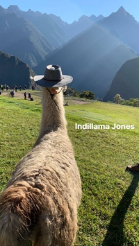 Les aventures d'Illama Jones