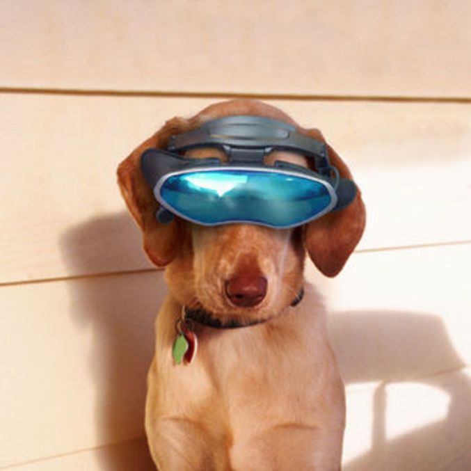 Cyber chien, le chien du futur.