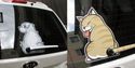 Essuie-glace chat ou chien
